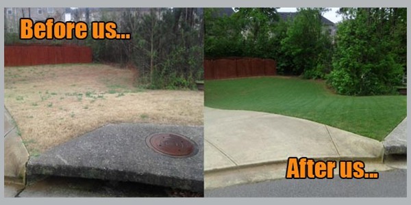 Lawn Care / Mosquito Control - Acworth / Dallas, Ga - Sharplawns